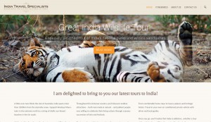 India Travel Specialists